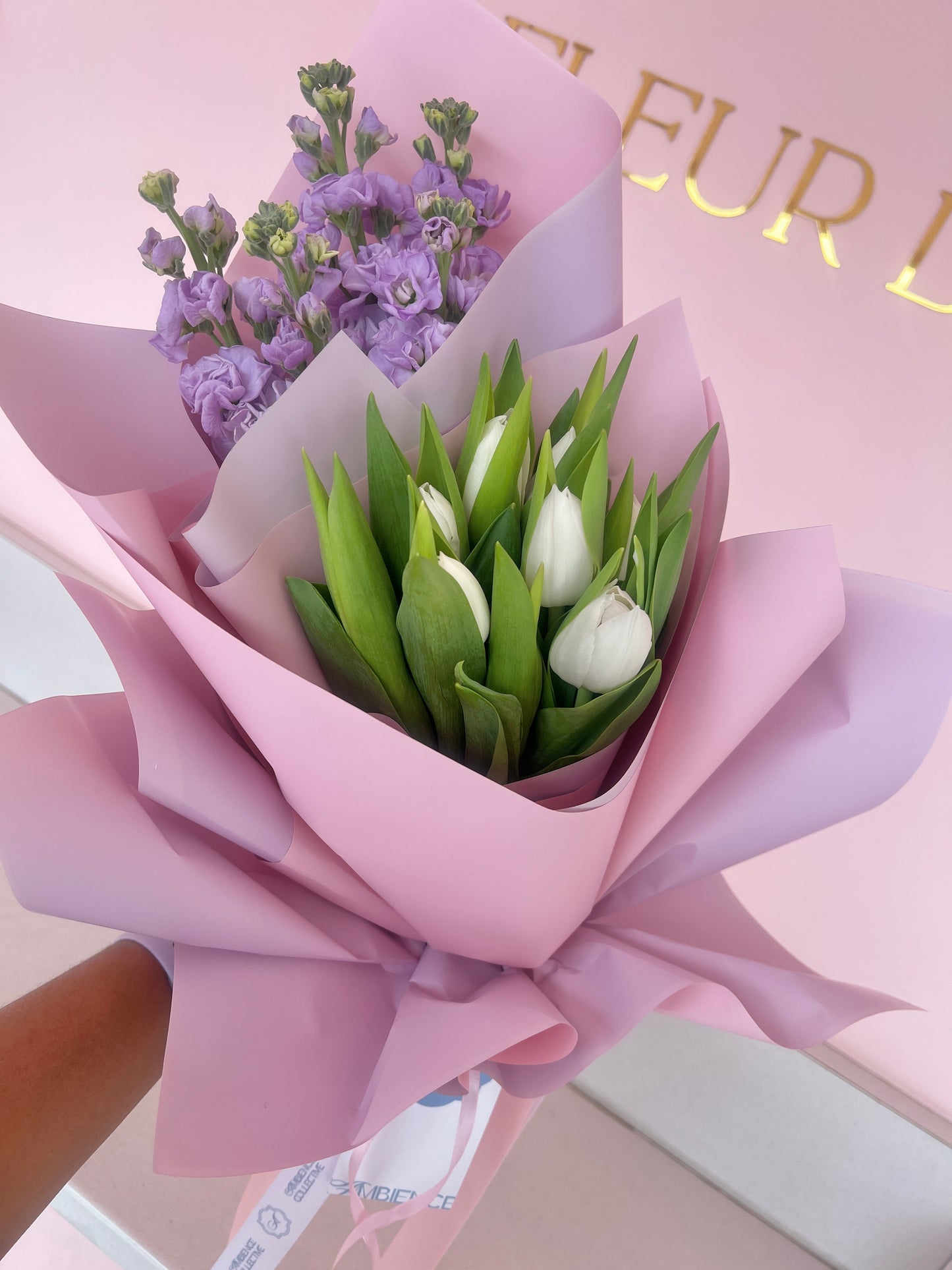 Tulips and Friends