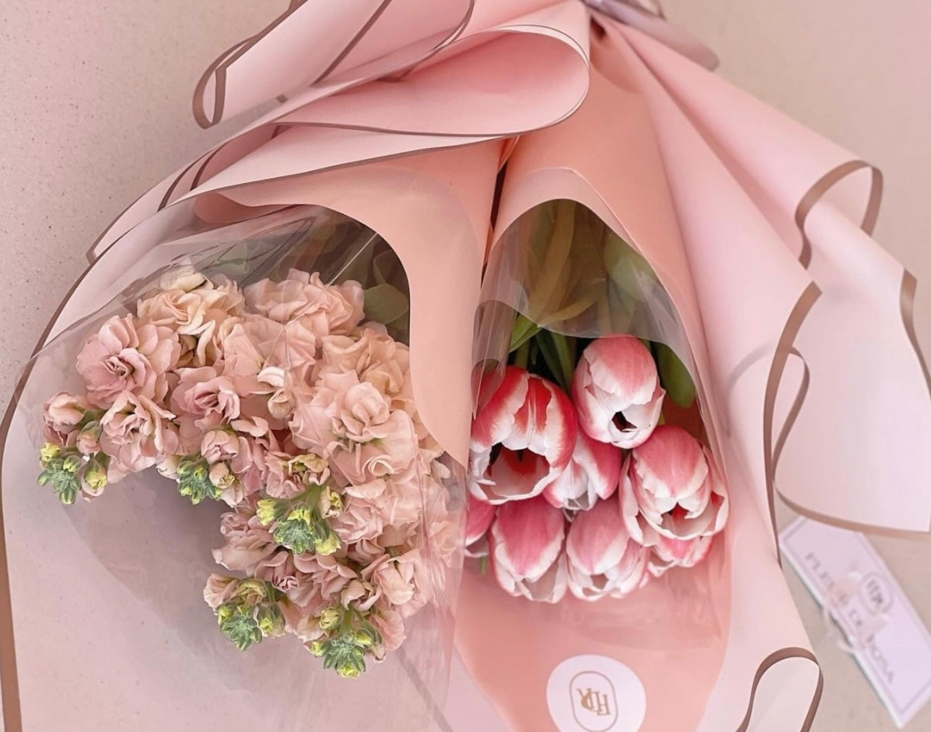 Tulips and Friends