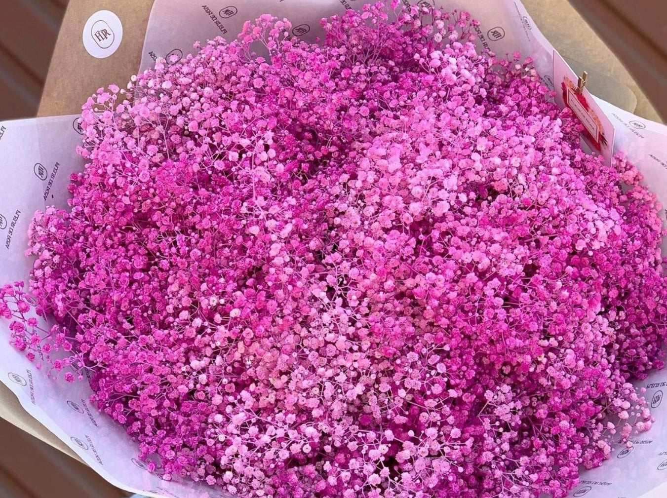 Large Baby's Breath
