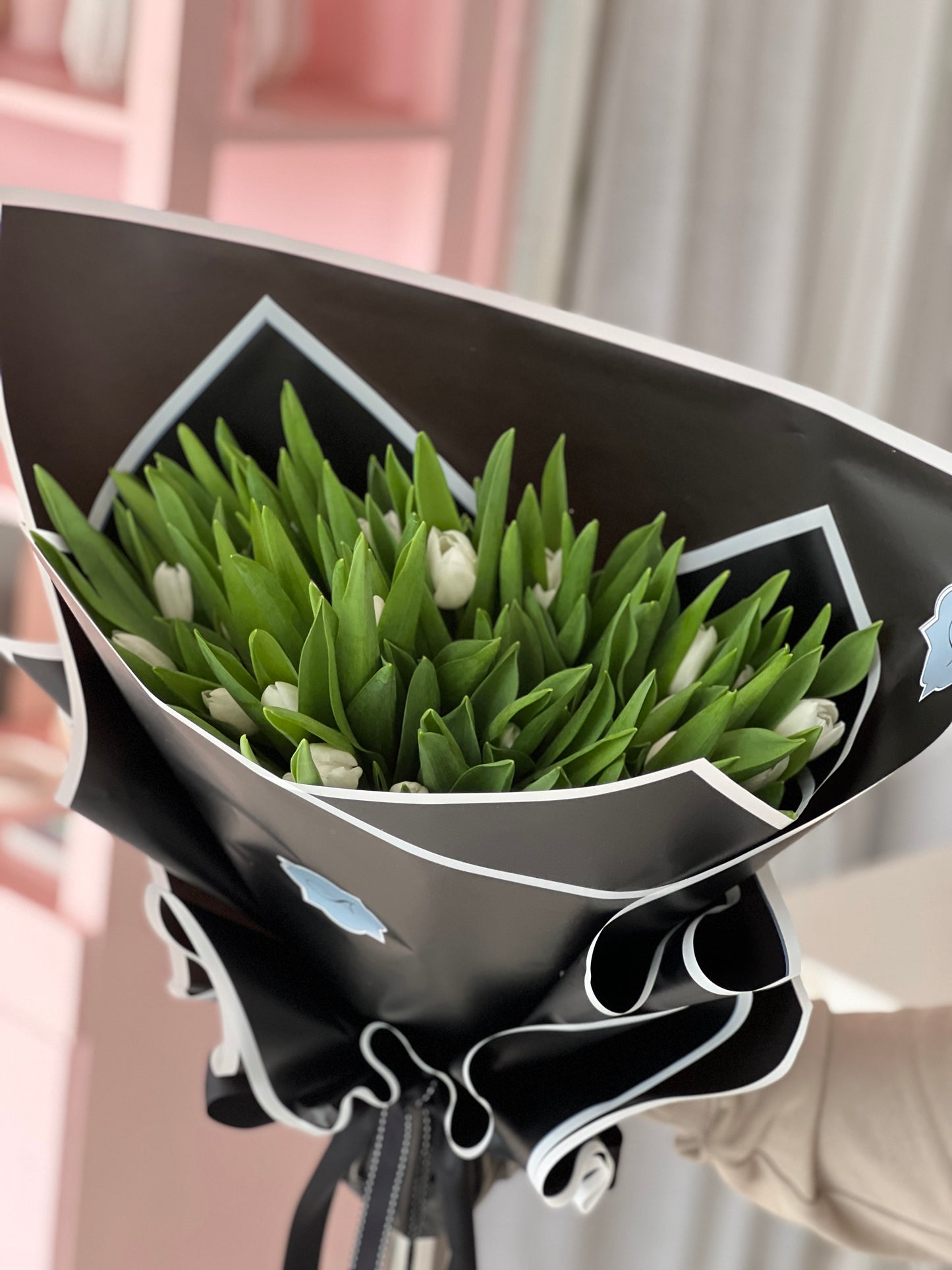 Tulips