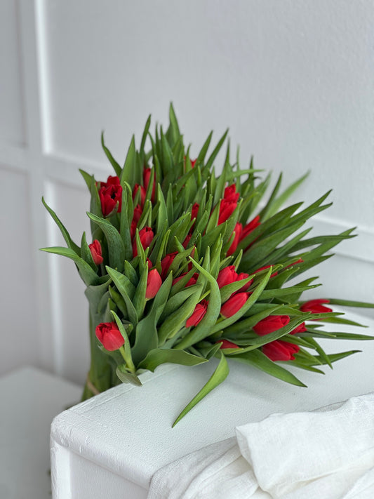 LUXE Imported Tulips