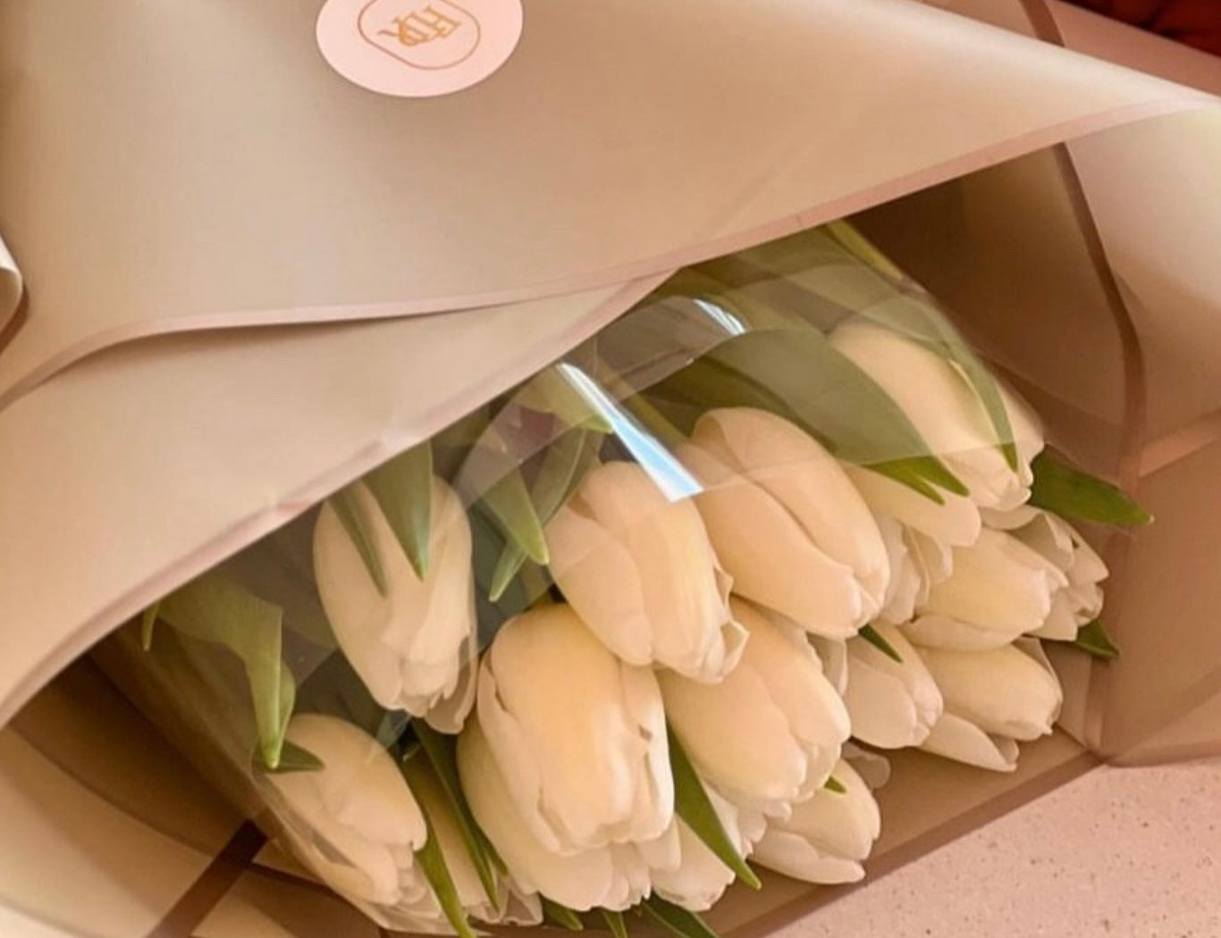 Tulips