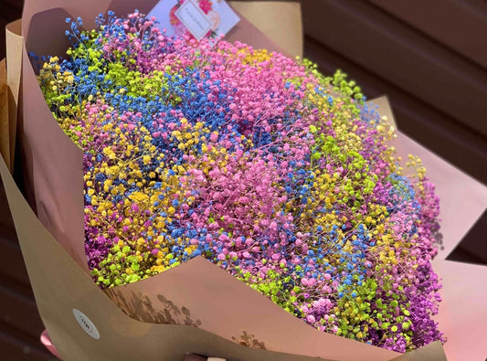 Large Rainbow Baby's Breath